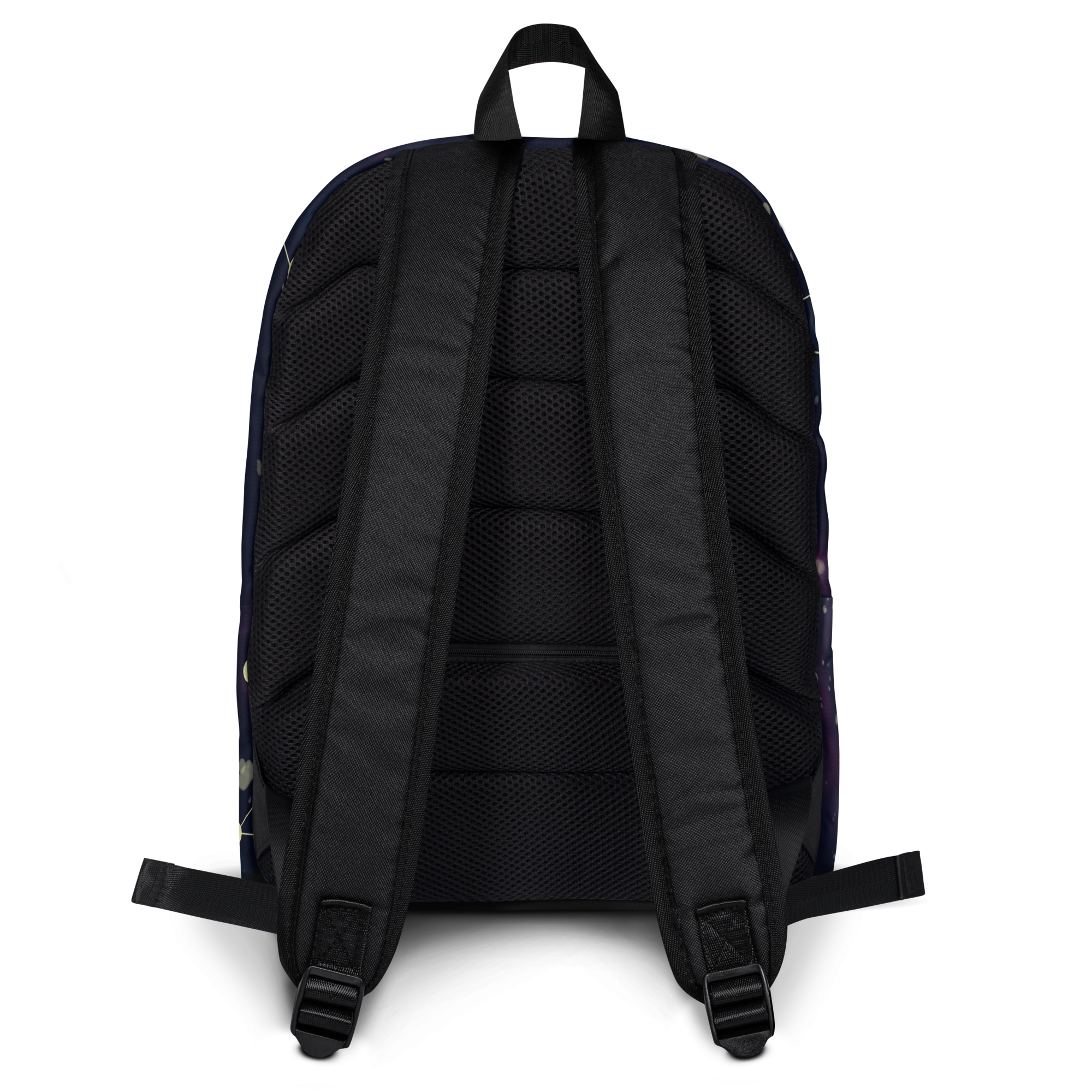 Backpack sn1